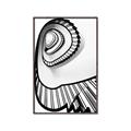 Picture of The Spiral _GroupedProduct_Rectangle_Portrait_Photography _GroupedProduct_Rectangle_Portrait_Canvas_Framed_