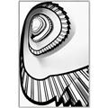Picture of The Spiral _GroupedProduct_Rectangle_Portrait_Photography _GroupedProduct_Rectangle_Portrait_Canvas_Framed_