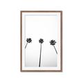 Picture of Cali Cathedrals III _GroupedProduct_Rectangle_Portrait_Photography _GroupedProduct_Rectangle_Portrait_Framed_Matted_