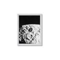Picture of Moon Landing _GroupedProduct_Rectangle_Portrait_Photography _GroupedProduct_Rectangle_Portrait_Framed_Matted_
