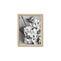 Picture of The Flowers He Gave _GroupedProduct_Rectangle_Portrait_Photography _GroupedProduct_Rectangle_Portrait_Framed_Matted_