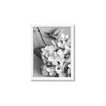 Picture of The Flowers He Gave _GroupedProduct_Rectangle_Portrait_Photography _GroupedProduct_Rectangle_Portrait_Framed_Matted_