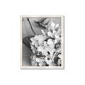 Picture of The Flowers He Gave _GroupedProduct_Rectangle_Portrait_Photography _GroupedProduct_Rectangle_Portrait_Framed_Matted_