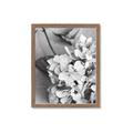 Picture of The Flowers He Gave _GroupedProduct_Rectangle_Portrait_Photography _GroupedProduct_Rectangle_Portrait_Framed_Matted_