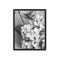 Picture of The Flowers He Gave _GroupedProduct_Rectangle_Portrait_Photography _GroupedProduct_Rectangle_Portrait_Framed_Matted_