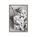Picture of The Flowers He Gave _GroupedProduct_Rectangle_Portrait_Photography _GroupedProduct_Rectangle_Portrait_Framed_Matted_