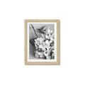Picture of The Flowers He Gave _GroupedProduct_Rectangle_Portrait_Photography _GroupedProduct_Rectangle_Portrait_Framed_Matted_