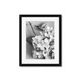 Picture of The Flowers He Gave _GroupedProduct_Rectangle_Portrait_Photography _GroupedProduct_Rectangle_Portrait_Framed_Matted_