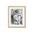 Picture of The Flowers He Gave _GroupedProduct_Rectangle_Portrait_Photography _GroupedProduct_Rectangle_Portrait_Framed_Matted_