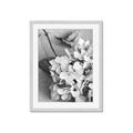 Picture of The Flowers He Gave _GroupedProduct_Rectangle_Portrait_Photography _GroupedProduct_Rectangle_Portrait_Framed_Matted_