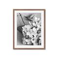 Picture of The Flowers He Gave _GroupedProduct_Rectangle_Portrait_Photography _GroupedProduct_Rectangle_Portrait_Framed_Matted_