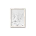 Picture of Whispering Mirage Dried Grass _GroupedProduct_Rectangle_Portrait_Photography _GroupedProduct_Rectangle_Portrait_Framed_Matted_