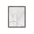 Picture of Whispering Mirage Dried Grass _GroupedProduct_Rectangle_Portrait_Photography _GroupedProduct_Rectangle_Portrait_Framed_Matted_