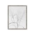 Picture of Whispering Mirage Dried Grass _GroupedProduct_Rectangle_Portrait_Photography _GroupedProduct_Rectangle_Portrait_Framed_Matted_
