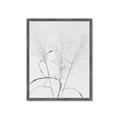 Picture of Whispering Mirage Dried Grass _GroupedProduct_Rectangle_Portrait_Photography _GroupedProduct_Rectangle_Portrait_Framed_Matted_