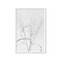 Picture of Whispering Mirage Dried Grass _GroupedProduct_Rectangle_Portrait_Photography _GroupedProduct_Rectangle_Portrait_Framed_Matted_