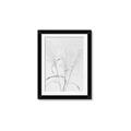 Picture of Whispering Mirage Dried Grass _GroupedProduct_Rectangle_Portrait_Photography _GroupedProduct_Rectangle_Portrait_Framed_Matted_