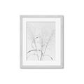 Picture of Whispering Mirage Dried Grass _GroupedProduct_Rectangle_Portrait_Photography _GroupedProduct_Rectangle_Portrait_Framed_Matted_