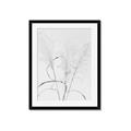 Picture of Whispering Mirage Dried Grass _GroupedProduct_Rectangle_Portrait_Photography _GroupedProduct_Rectangle_Portrait_Framed_Matted_