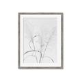 Picture of Whispering Mirage Dried Grass _GroupedProduct_Rectangle_Portrait_Photography _GroupedProduct_Rectangle_Portrait_Framed_Matted_