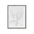 Picture of Whispering Mirage Dried Grass _GroupedProduct_Rectangle_Portrait_Photography _GroupedProduct_Rectangle_Portrait_Framed_Matted_