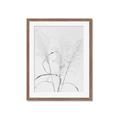 Picture of Whispering Mirage Dried Grass _GroupedProduct_Rectangle_Portrait_Photography _GroupedProduct_Rectangle_Portrait_Framed_Matted_