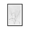 Picture of Whispering Mirage Dried Grass _GroupedProduct_Rectangle_Portrait_Photography _GroupedProduct_Rectangle_Portrait_Framed_Matted_