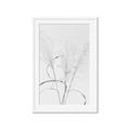 Picture of Whispering Mirage Dried Grass _GroupedProduct_Rectangle_Portrait_Photography _GroupedProduct_Rectangle_Portrait_Framed_Matted_