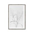 Picture of Whispering Mirage Dried Grass _GroupedProduct_Rectangle_Portrait_Photography _GroupedProduct_Rectangle_Portrait_Framed_Matted_