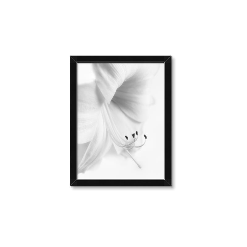 Picture of White Floral Hues _GroupedProduct_Rectangle_Portrait_Photography _GroupedProduct_Rectangle_Portrait_Framed_Matted_