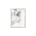 Picture of White Floral Hues _GroupedProduct_Rectangle_Portrait_Photography _GroupedProduct_Rectangle_Portrait_Framed_Matted_