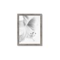 Picture of White Floral Hues _GroupedProduct_Rectangle_Portrait_Photography _GroupedProduct_Rectangle_Portrait_Framed_Matted_