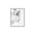Picture of White Floral Hues _GroupedProduct_Rectangle_Portrait_Photography _GroupedProduct_Rectangle_Portrait_Framed_Matted_