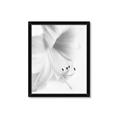Picture of White Floral Hues _GroupedProduct_Rectangle_Portrait_Photography _GroupedProduct_Rectangle_Portrait_Framed_Matted_