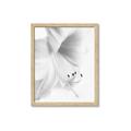 Picture of White Floral Hues _GroupedProduct_Rectangle_Portrait_Photography _GroupedProduct_Rectangle_Portrait_Framed_Matted_