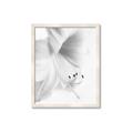 Picture of White Floral Hues _GroupedProduct_Rectangle_Portrait_Photography _GroupedProduct_Rectangle_Portrait_Framed_Matted_