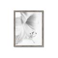 Picture of White Floral Hues _GroupedProduct_Rectangle_Portrait_Photography _GroupedProduct_Rectangle_Portrait_Framed_Matted_