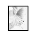 Picture of White Floral Hues _GroupedProduct_Rectangle_Portrait_Photography _GroupedProduct_Rectangle_Portrait_Framed_Matted_