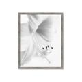 Picture of White Floral Hues _GroupedProduct_Rectangle_Portrait_Photography _GroupedProduct_Rectangle_Portrait_Framed_Matted_