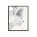 Picture of White Floral Hues _GroupedProduct_Rectangle_Portrait_Photography _GroupedProduct_Rectangle_Portrait_Framed_Matted_
