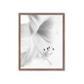 Picture of White Floral Hues _GroupedProduct_Rectangle_Portrait_Photography _GroupedProduct_Rectangle_Portrait_Framed_Matted_
