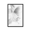 Picture of White Floral Hues _GroupedProduct_Rectangle_Portrait_Photography _GroupedProduct_Rectangle_Portrait_Framed_Matted_