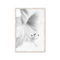 Picture of White Floral Hues _GroupedProduct_Rectangle_Portrait_Photography _GroupedProduct_Rectangle_Portrait_Framed_Matted_