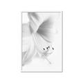 Picture of White Floral Hues _GroupedProduct_Rectangle_Portrait_Photography _GroupedProduct_Rectangle_Portrait_Framed_Matted_