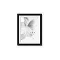 Picture of White Floral Hues _GroupedProduct_Rectangle_Portrait_Photography _GroupedProduct_Rectangle_Portrait_Framed_Matted_