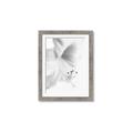 Picture of White Floral Hues _GroupedProduct_Rectangle_Portrait_Photography _GroupedProduct_Rectangle_Portrait_Framed_Matted_