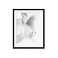 Picture of White Floral Hues _GroupedProduct_Rectangle_Portrait_Photography _GroupedProduct_Rectangle_Portrait_Framed_Matted_
