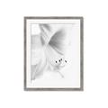 Picture of White Floral Hues _GroupedProduct_Rectangle_Portrait_Photography _GroupedProduct_Rectangle_Portrait_Framed_Matted_