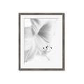 Picture of White Floral Hues _GroupedProduct_Rectangle_Portrait_Photography _GroupedProduct_Rectangle_Portrait_Framed_Matted_