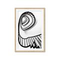 Picture of The Spiral _GroupedProduct_Rectangle_Portrait_Photography _GroupedProduct_Rectangle_Portrait_Framed_Matted_